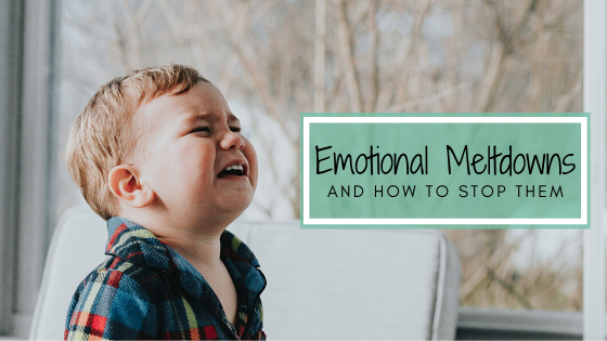 Emotional Meltdowns Blog header