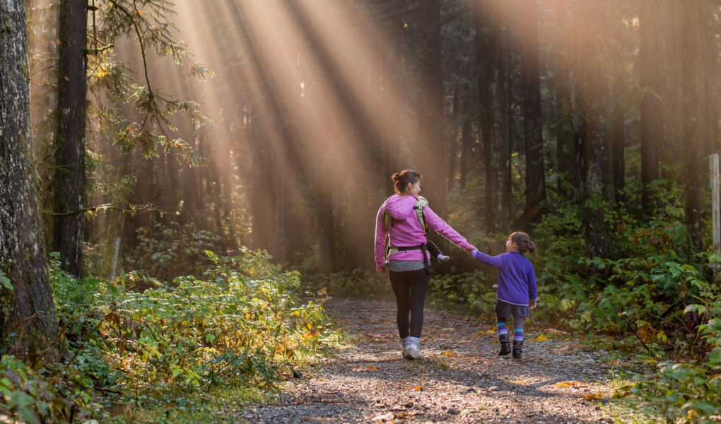 health and wellness image