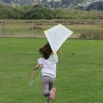 how to make a kite blog post image