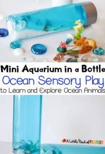 ocean sensory play bottle blog post link
