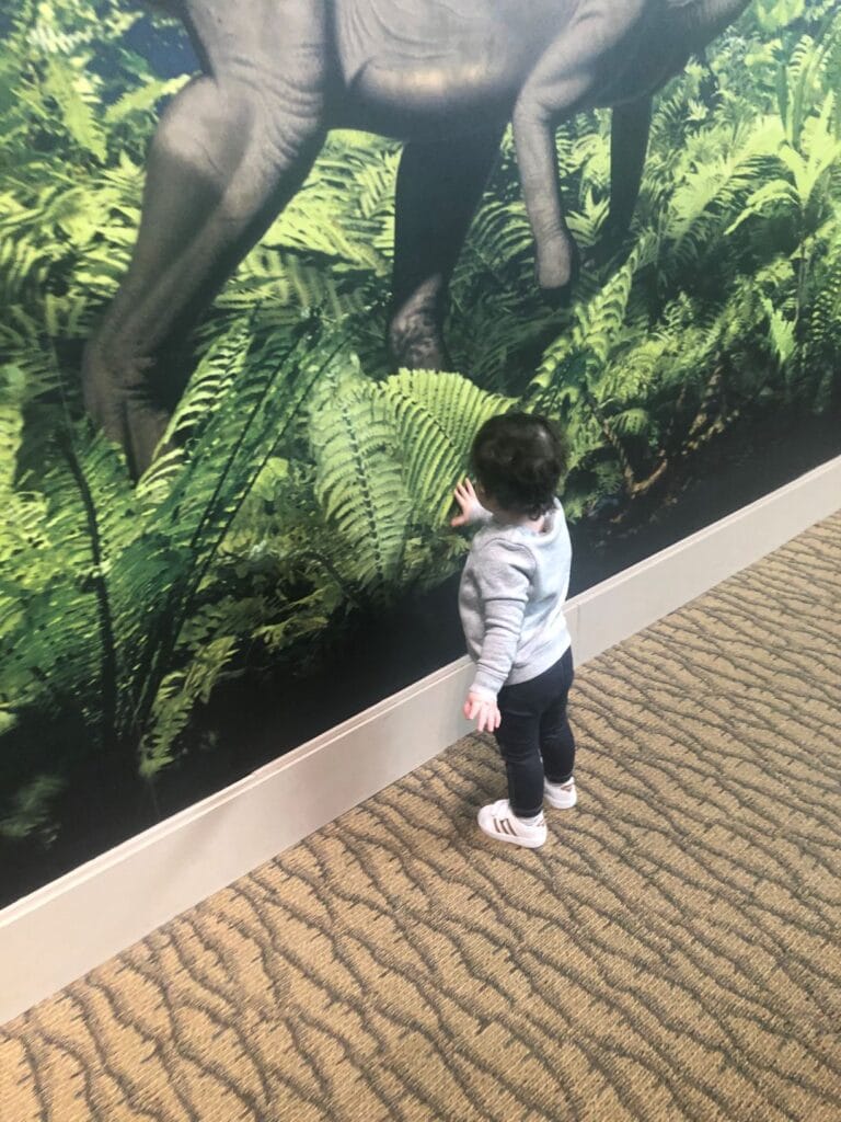 museum activities for 2 year olds
