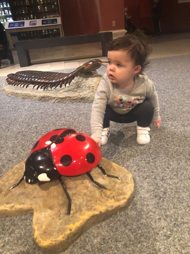 museum activities for 2 year olds