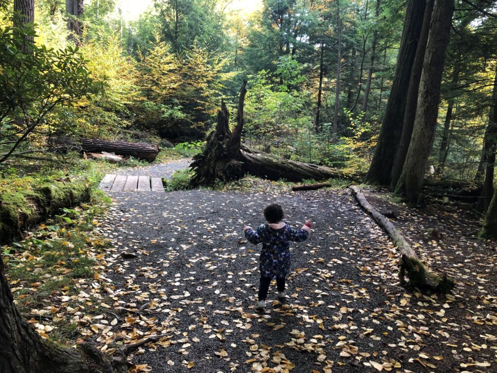 sensory play in the woods